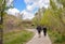 back view of a senior couple walking on a concrete way in the middle of a park. The male hiker wears sorts and a dark blue coat