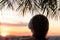 Back view silhouette of relaxed woman wearing headphones meditating listening to music on the beach at sunset in the branches