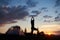 Back view silhouette young woman standing on leg in yoga tree pose at top of hill near tent