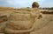 Back view of the sphinx next to pyramids, Egypt