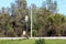 Back view of tall railway tracks traffic light next to old dilapidated metal sign and utility pole holding electrical wires