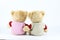 Back view teddy bears isolated and white background