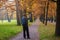Back view of tourist young man using smartphone taking a picture at Autumn fall trees  pathway alley in park