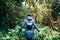 Back view of traveler woman walking in forest