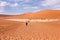 Back view of unrecognizable tourists arriving at the Deadvlei clay pan surrounded by red sand dunes