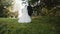 Back view of wedding couple in love walks in forest