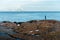 Back view of woman enjoys a walk on a rock near the water. On the background a blurred snowy mountain. Norwegian fjord, Lofoten