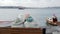 Back view of woman and girl in hats sitting on wooden bench near sea