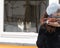 Back view of a woman looking at the two cats inside the glass window