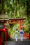 Back view of woman wearing Japanese yukata summer kimono