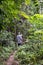 Back view of young adventure tourist at Amazonian rainforest