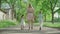 Back view of young blond Caucasian mother walking with two children along the alley in park. Wide shot of happy