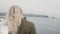 Back view of young blonde woman standing on black beach in iceland. Freedom: tourist rising up hands, hair wave on wind