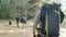 Back view of young man with backpack enjoying nordic walking with poles in forest hiking with friends in summer