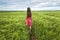 Back view of young romantic slim woman in red dress with long hair walking in green field on sunny summer day on blue sky copy