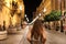 Back view of young tourist woman walking in Seville street in th