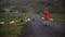 Back view of young traveling woman standing on the mountain road and taking photos of sheep on smartphone.