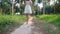 Back view of young woman in white dress walking in jungle among palm trees on tropical island