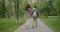 Back view of young women sisters walking cute shiba inu dogs in city park