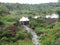 Back water of Chandrampalli dam