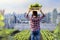 Back of woman gardener is harvesting organics vegetable while working at rooftop urban farming for city sustainable gardening on