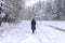 Back of woman in hat with walking away on path in snowy forests. Alone person in snow weather