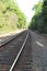 Back Woods Railroad Tracks With Forest Background