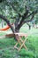 Back yard with hammock and wooden table for relaxing. Terrace, apple garden in summer, wooden table with haystack. wooden table on