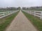 Backa Topola Zobnatica stables horse close up