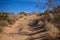 Backcountry road in the desert