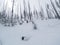 Backcountry Ski Tracks