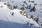 The backcountry skier gracefully carves through the untouched powder snow between rocks and trees