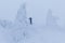 Backcountry skier pushing through the fog on a snowy slope. Ski touring in harsh winter conditions. Ski tourer sporting