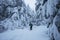 Backcountry skier pushing through the fog on a snowy slope. Ski touring in harsh winter conditions. Ski tourer sporting