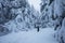 Backcountry skier pushing through the fog on a snowy slope. Ski touring in harsh winter conditions. Ski tourer sporting