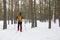 Backcountry skier in snowy forest