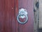 backdoor yard metal locker hanger knocker steel wooden fence gate