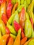 Backdrop of stacked colourful peppers