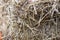 A backdrop of straw. Bale of straw photographed at close range in selective focus