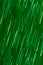 Background abstract dynamic green neon light and stripes moving fast