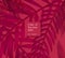 Background from abstract tropical leaves coloured in trendy magenta colour