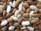 Background almond shells