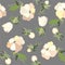 Background. Anemones.