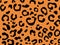 Background. Animal black and orange print, black streaks on a  orange background.