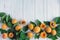 Background with apricots. Photo of fresh apricot with green leaves and place for copy space on a white wooden background. Apricots