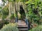 Background, arrangement and decoration of the garden with bamboo to make a walkway. to adjust the landscape,