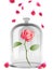 Background Art Enchanted Rose