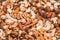Background of assorted cashews, almonds, greta and hazelnuts mixed closeup. Healthy and wholesome food