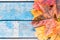 Background with autumn leaves on blue old boards. Background with autumn leaves. Copy space for inscription