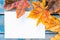 Background with autumn leaves on blue old boards. Background with autumn leaves. Copy space for inscription